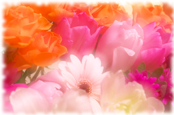 花のアレンジメント画像