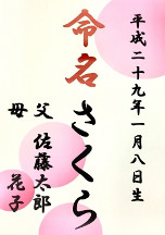 命名書のサンプル2